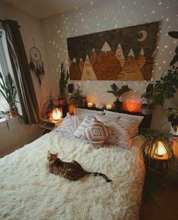 cat, bedroom, and room