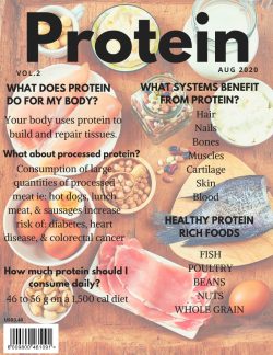 What is protein