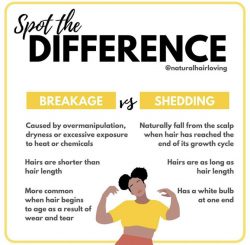 Breakage vs Shedding