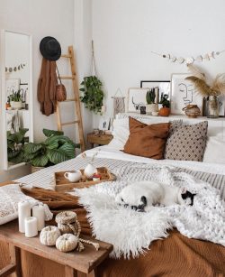 Bedroom Decor Inspiration