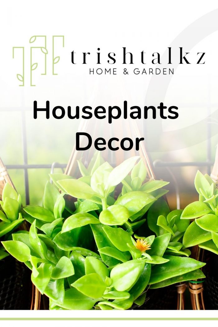 Houseplants and Home Decor