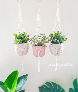 Plant hangers by Sweet Home Alberti