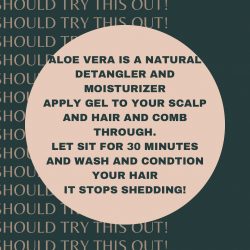Aloe Vera Gel for Shedding and Detangling