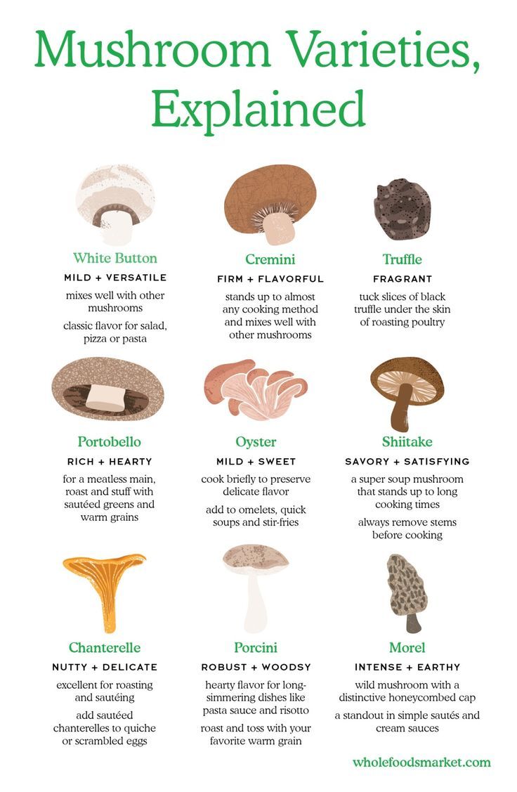 mushroom varieties - Melaninterest