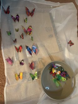 Butterfly curtain