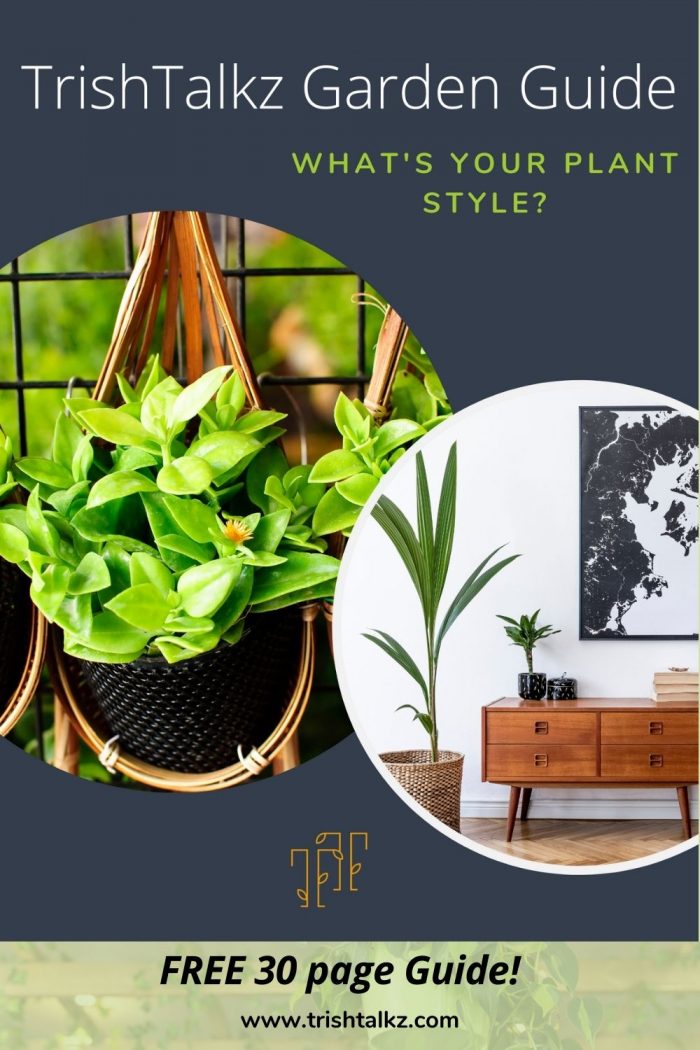 Garden Guide: What’s Your Plant Style