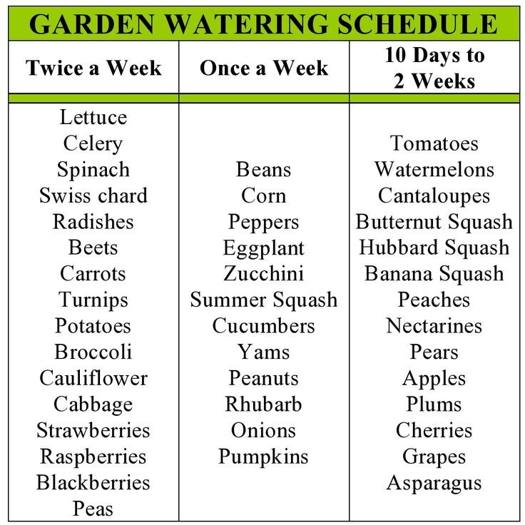 Garden watering schedule