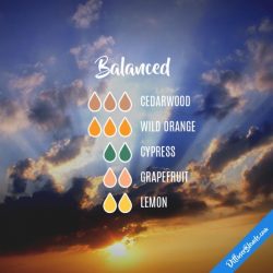Balanced – Essential Oil Blend