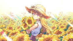 TOP 11 YELLOW WALLPAPERS + ANIME PFPS + A MATCHING PFP