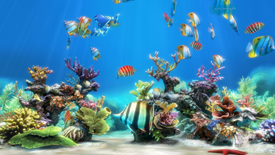 Sim Aquarium 3 Crack Free Download