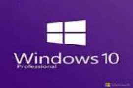 Windows 10 Pro 19H2 X64 Torrent terfred