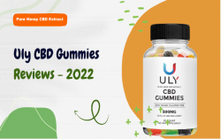 Uly CBD Gummies Reviews – Negative Side Effects or Safe