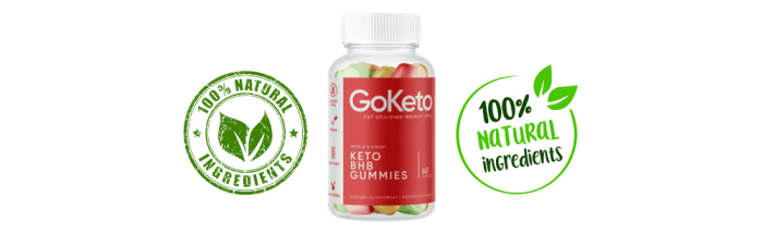 GoKeto Gummies: Does This Supplement Work – SCAM & LEGIT?