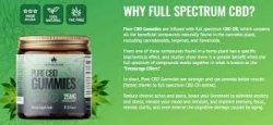 Greenhouse CBD Gummies Reviews: How Does Greenhouse Research Gummies Effective for Anxiety and C ...