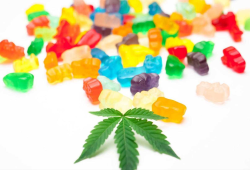 Green Dolphin CBD Gummies *BEHIND INGREDIENTS* Here’s My Results Using It!