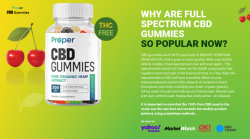 Proper CBD Gummies – How Does Real New Dietary Ingredients Work Effectively?