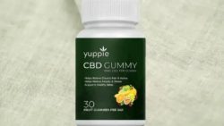 Yuppie CBD Gummies Shocking Reviews: Cost Revealed, Must Check Scam Before Buying Is It Worth Fo ...