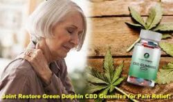 Green Dolphin CBD Gummies PRICE & REAL CUSTOMER REVIEWS 2022 only skill you really need?