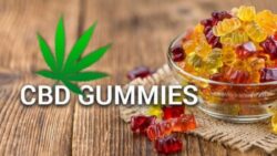 Erectafil CBD Gummies Review – The Ideal Product for Joint Pain Relief!