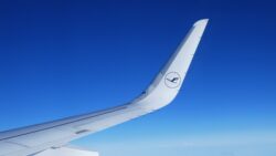 Lufthansa airlines In-Cabin Pet Policy