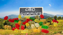 Greg Gutfeld CBD Gummies Reviews, Cost, Benifits | How To Order?