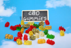 True North CBD Gummies Reviews [Shark Tank Alert]: CBD Cube Gummies & CBD Oil Price & We ...