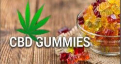 Proper CBD Gummies Scam Exposed! Review Truth Before Buy!