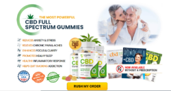 Vitacore CBD Gummies – Boost Wellness Without Chemicals!