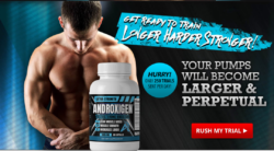 Androxigen: Fuel Your Passion and Enhance Your Life with Testosterone Support