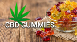 What ingredients are used to make Tom Selleck CBD Gummies?