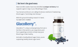 Glucoberry Reviews – Is IT Legit To Use?