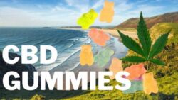 Yuppie CBD Gummies – Effective Product Good For You, Where To Buy!