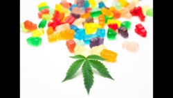 VV CBD Gummies – Does This Product Really Work?