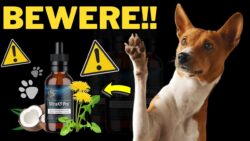 Ultra K9 Pro – Price, Results, Uses, Benefits, Warnings & Complaints?