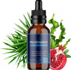Prostadine Reviews 2023 – Work You Read Ingredients Benefits Real