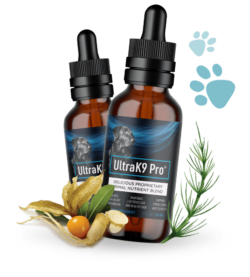 UltraK9 Pro {Clinically Proven} Provide Healthy And Energetica Life To Your Dogs Best Friend(Wor ...