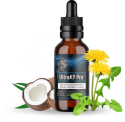 UltraK9 Pro Support A Healthy Happy Dog Enjoying Improved Digestion Advantages, Where To Buy(Spa ...