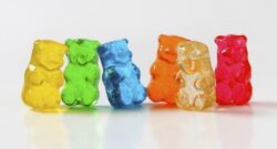 VV CBD Gummies – Shocking News Revealed?