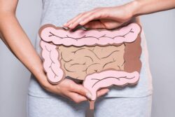Gut Health Reviews – What are The Genuine Indications of a Solid Stomach? Customer Guidelines!